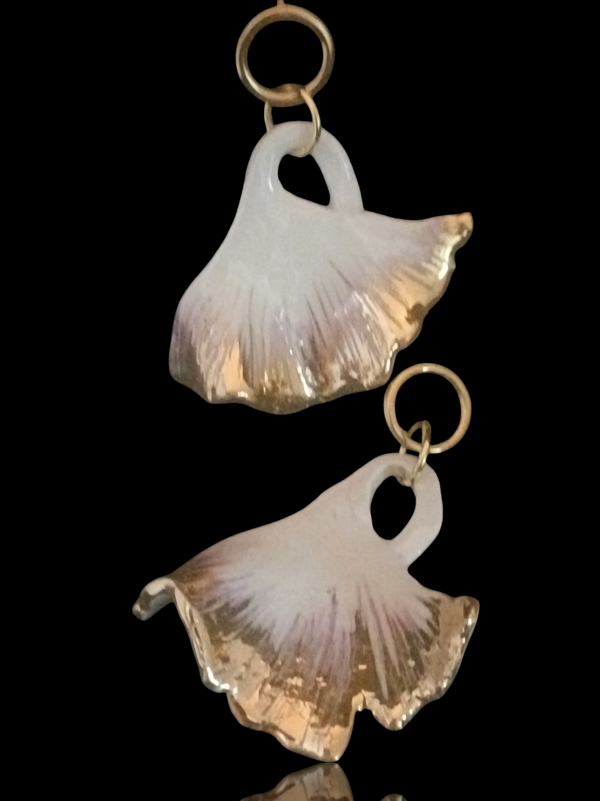 Ginkgo biancoro