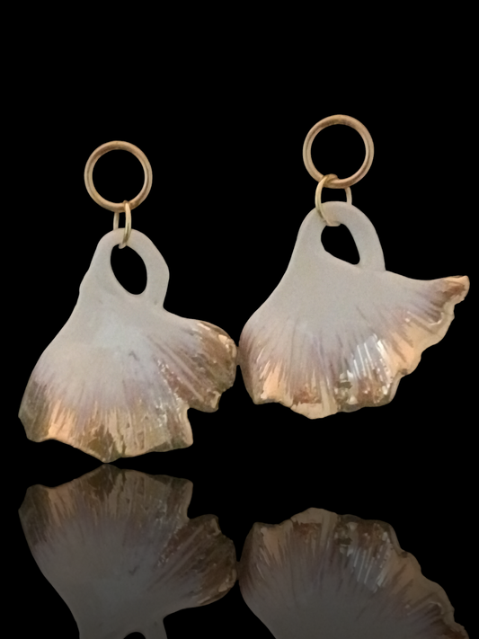 Ginkgo biancoro