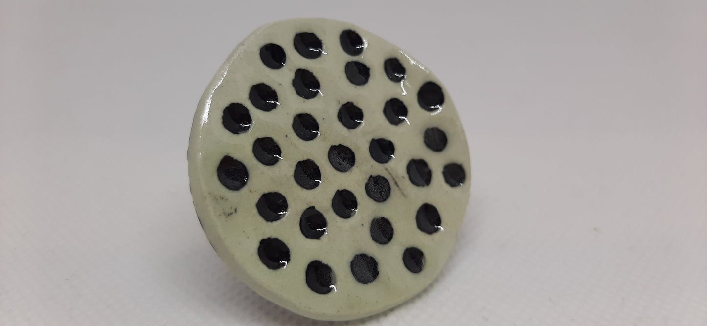 Pois Noir